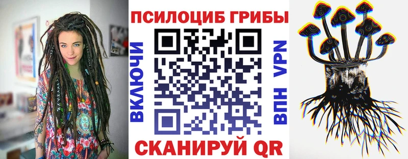 Псилоцибиновые грибы GOLDEN TEACHER что такое наркотик Боровичи